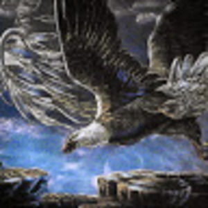 Meet your Posher, Crystal and ronald